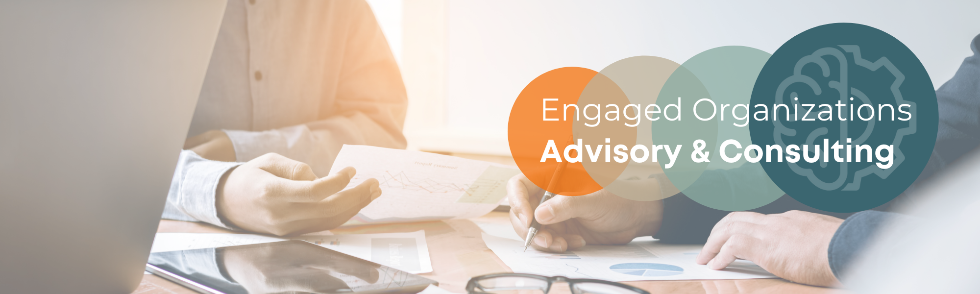 Advisory and Consulting Banner Image
