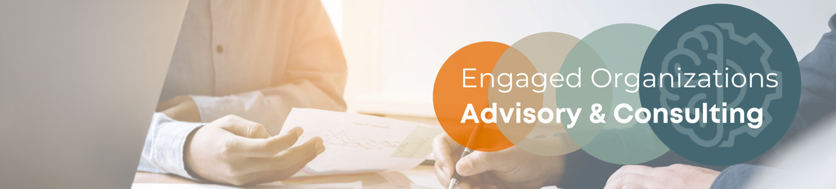 Advisory and Consulting Banner